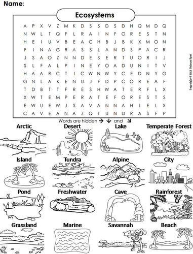 Ecosystems word search coloring book teaching resources