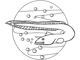 Eel coloring pages and printable activities