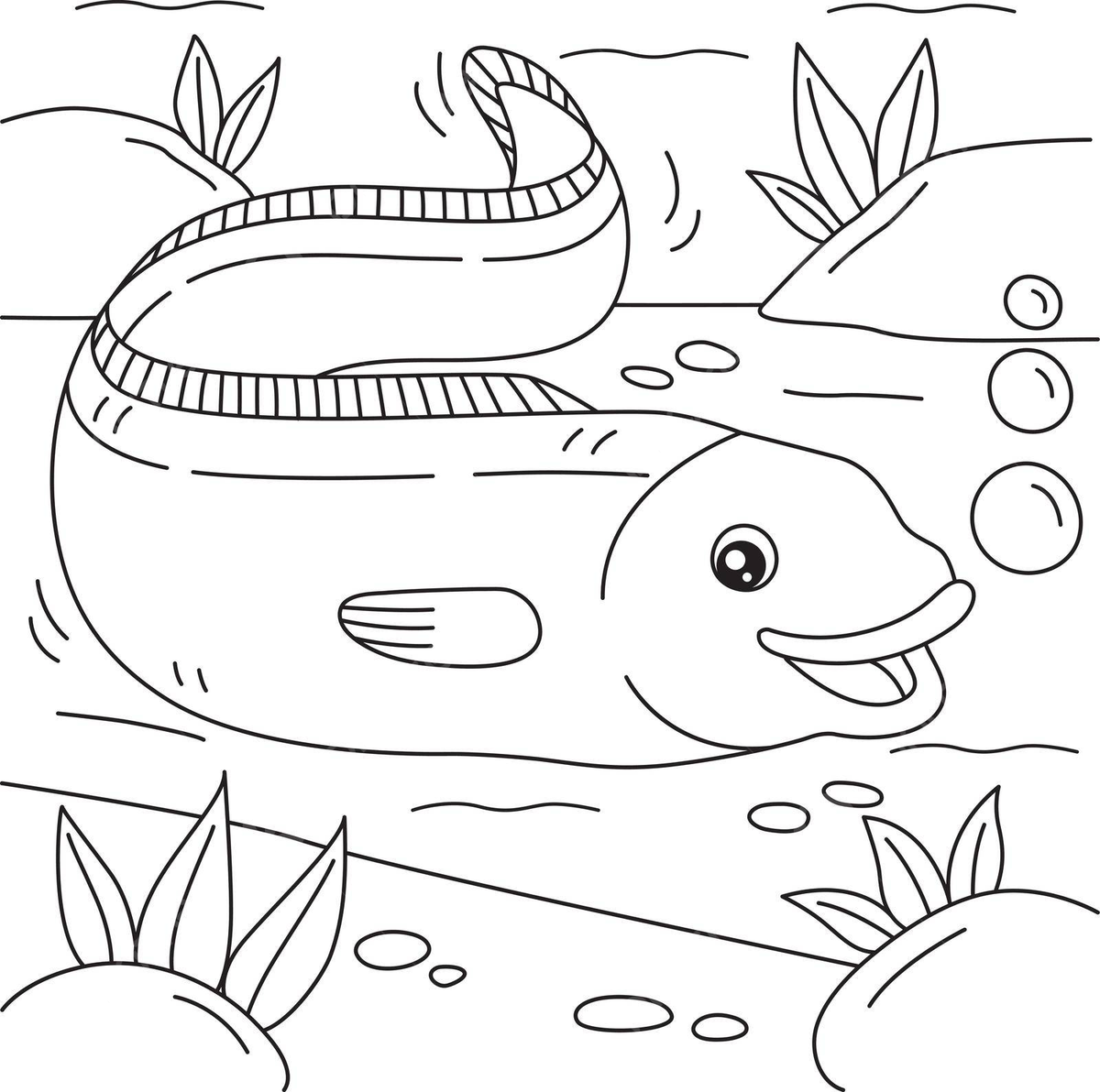 Eel coloring page for kids color food coloring page vector color food coloring page png and vector with transparent background for free download