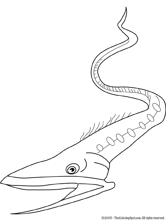 Gulper eel coloring page audio stories for kids free coloring pages colouring printables