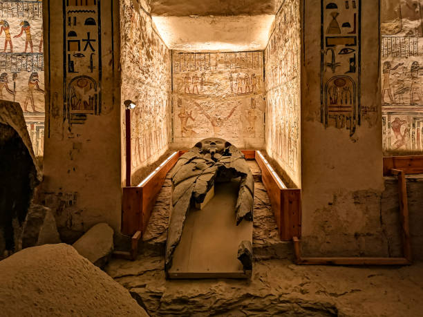 Egyptian mummy stock photos pictures royalty