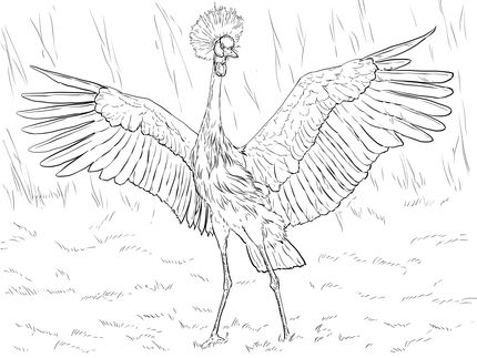 African black crowned crane coloring page supercoloring coloring pages animal drawings animal sketches