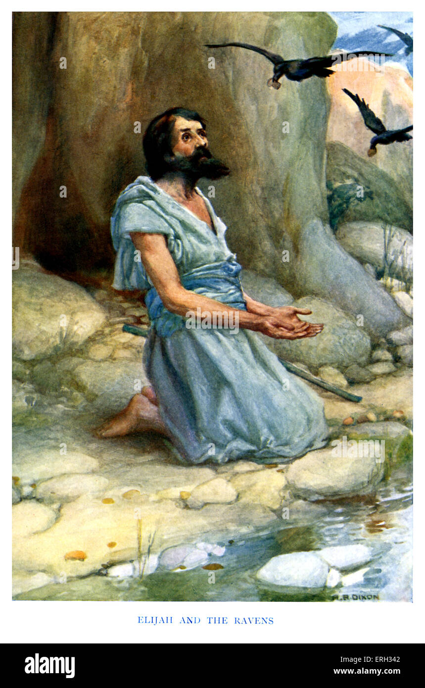 Elijah and the ravens fotografãas e imãgen de alta roluciãn