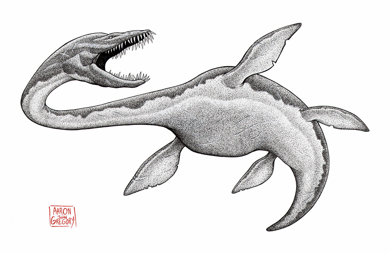 Elasmosaurus by aaronjohngregory on