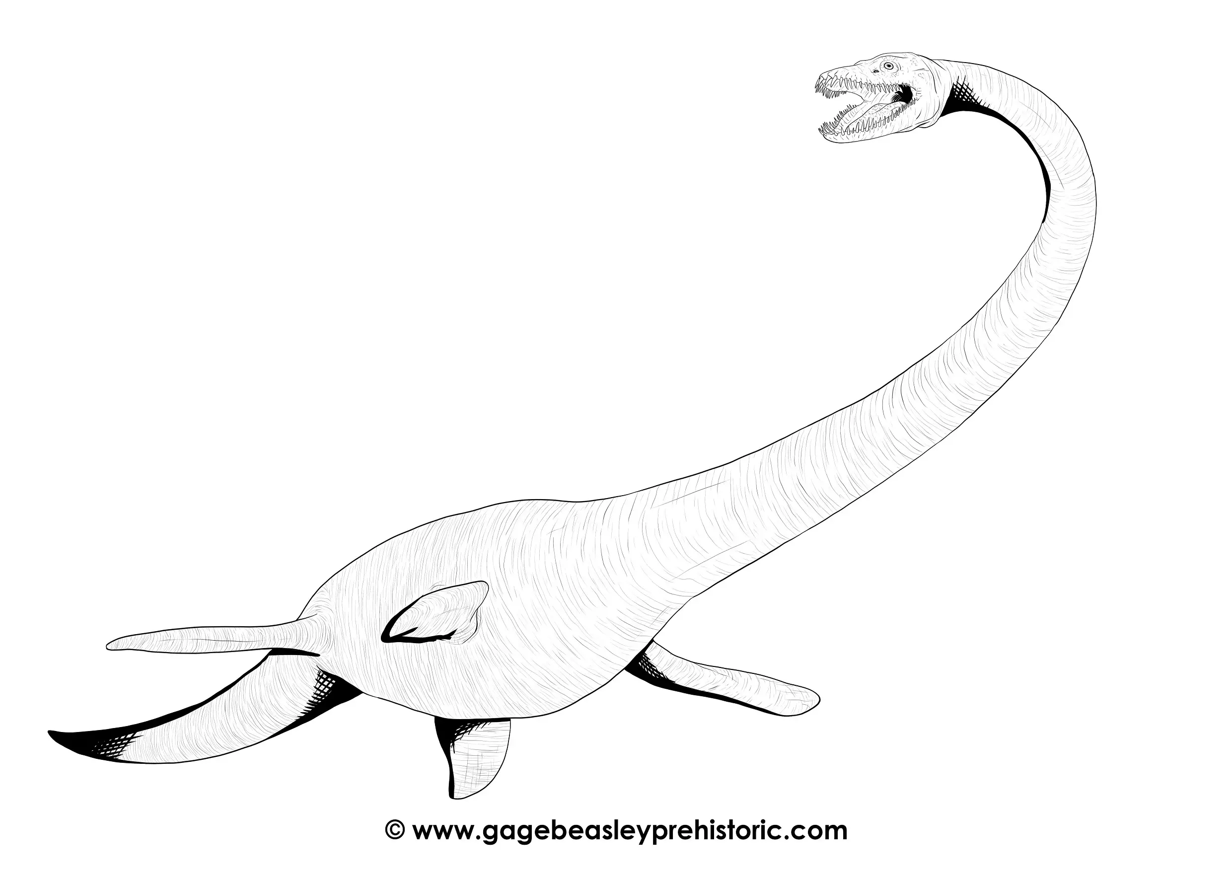 An ultimate guide to elasmosaurus the plate lizard