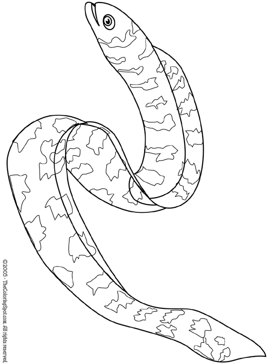 Eel coloring page audio stories for kids free coloring pages colouring printables