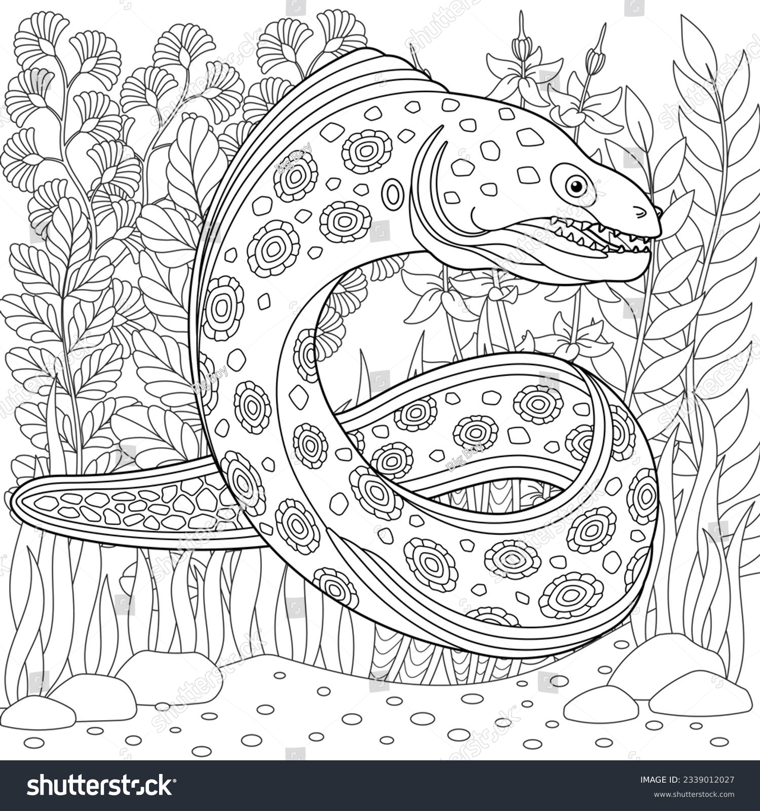 Adult colouring page moray eel outline stock vector royalty free