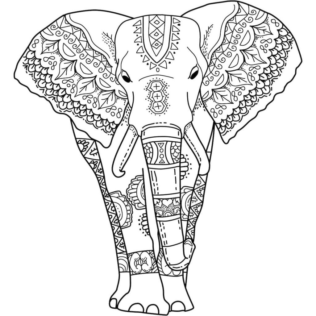 Elephant coloring pages for adults