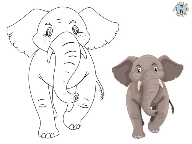 Elephant coloring page