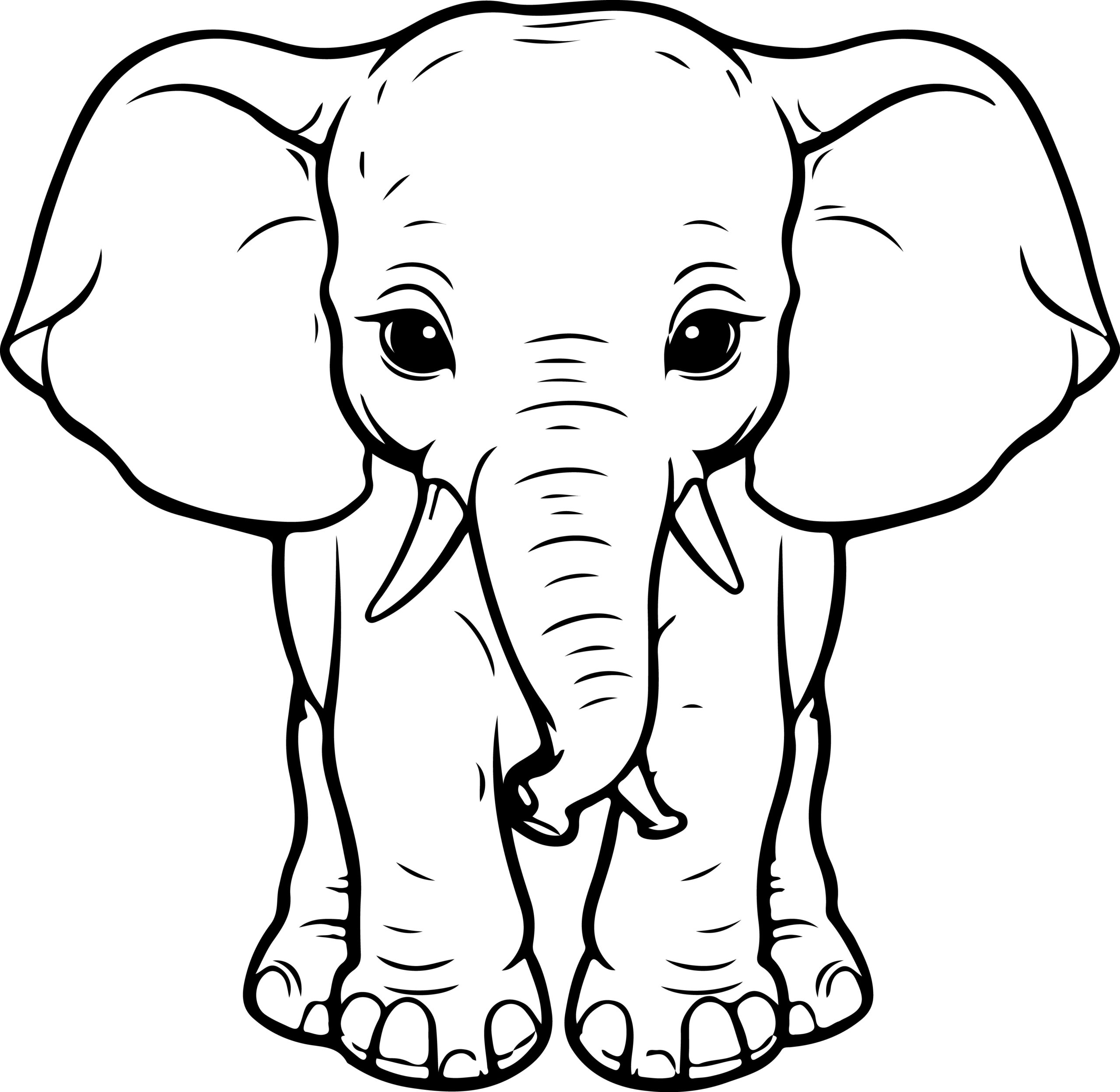 Elephant coloring book for kids adorable elephant coloring book for children made by teachers