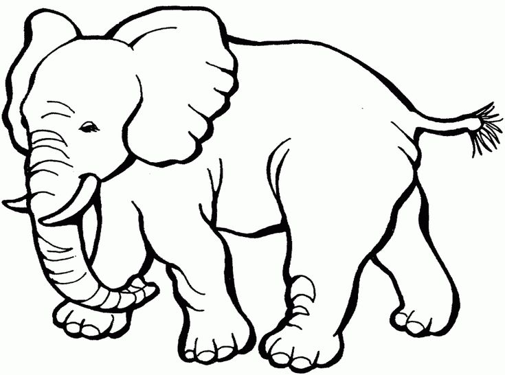 Free printable elephant coloring pages for kids zoo animal coloring pages elephant coloring page zoo coloring pages