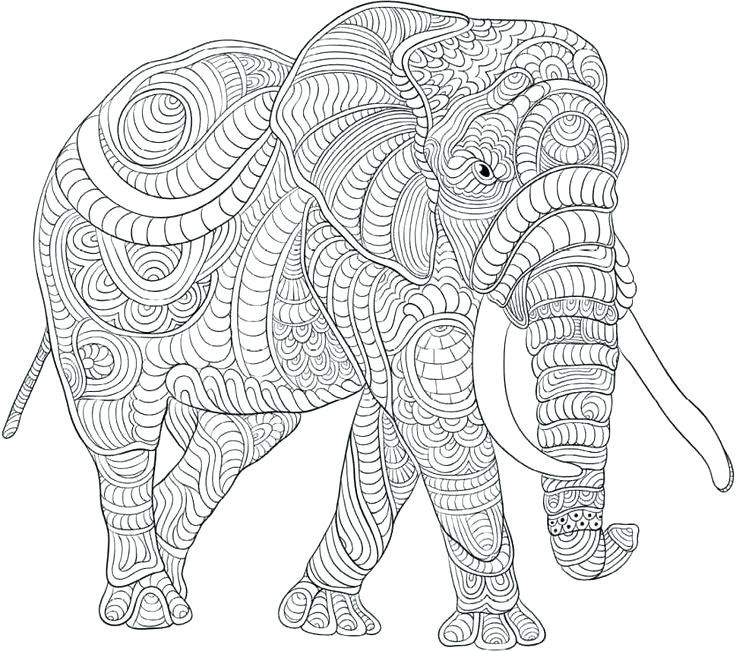 Elephant coloring pages for adults