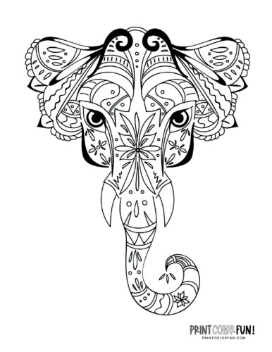 Elephant adult coloring pages that are decorative detailed at