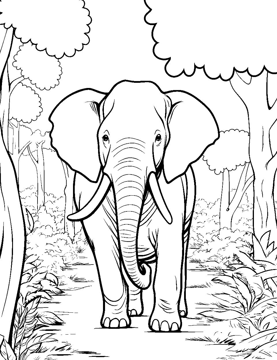 Elephant coloring pages free printable sheets