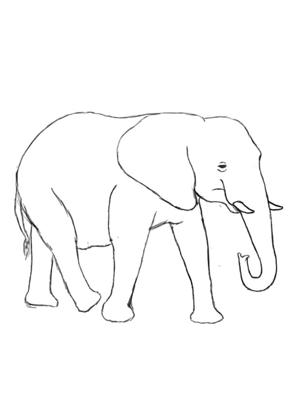 Coloring pages printable elephant coloring pages