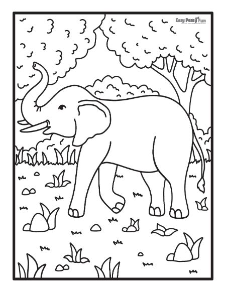 Printable elephant coloring pages â sheets