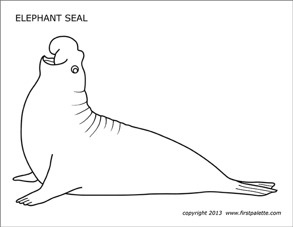 Elephant seal free printable templates coloring pages