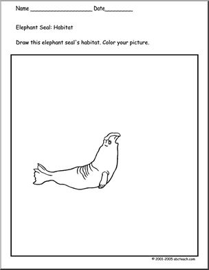 Coloring page seals elephant seal habitat