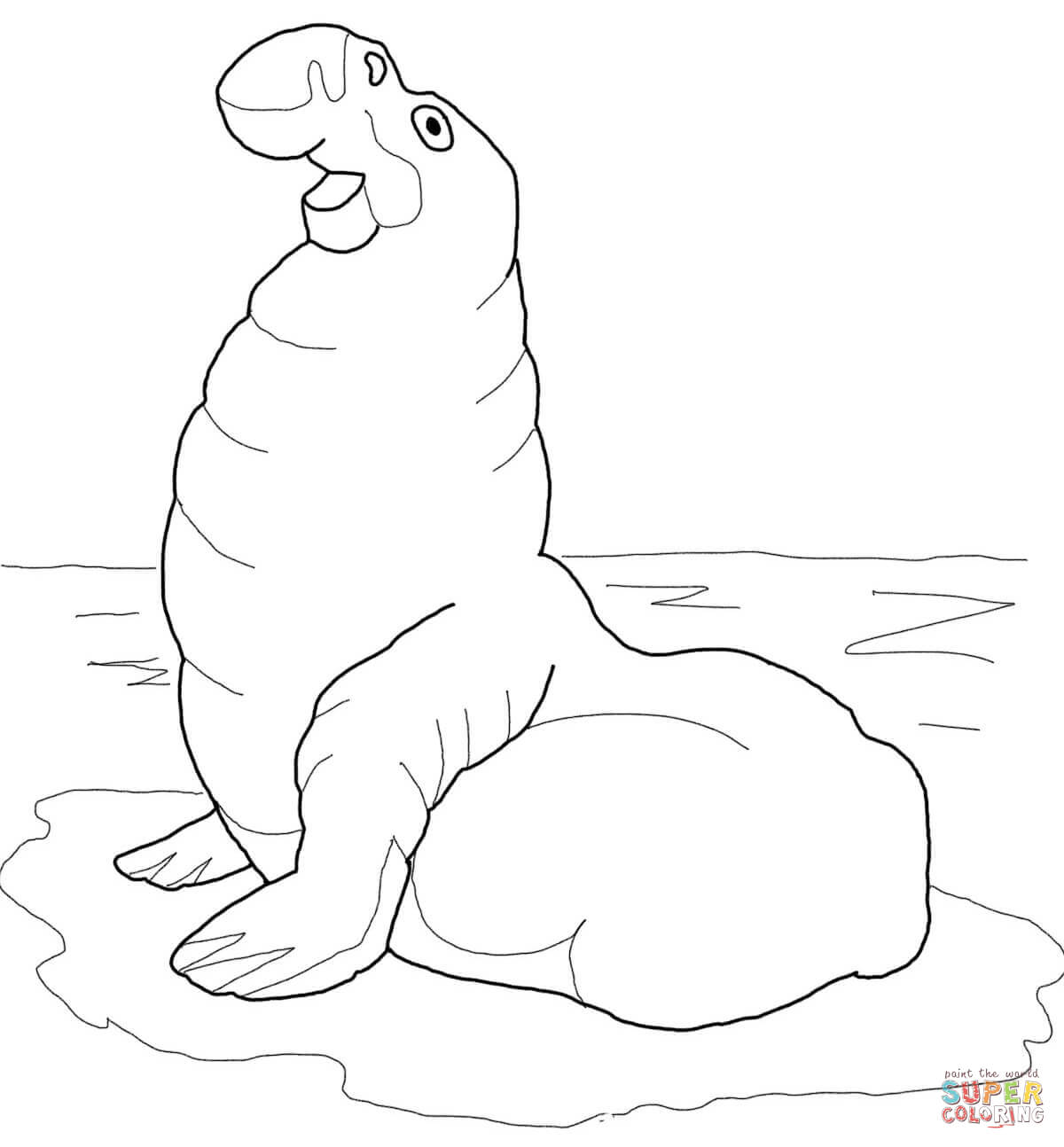 Elephant seal or sea elephant coloring page free printable coloring pages