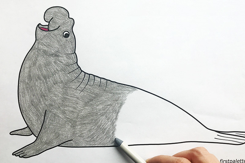 Elephant seal free printable templates coloring pages