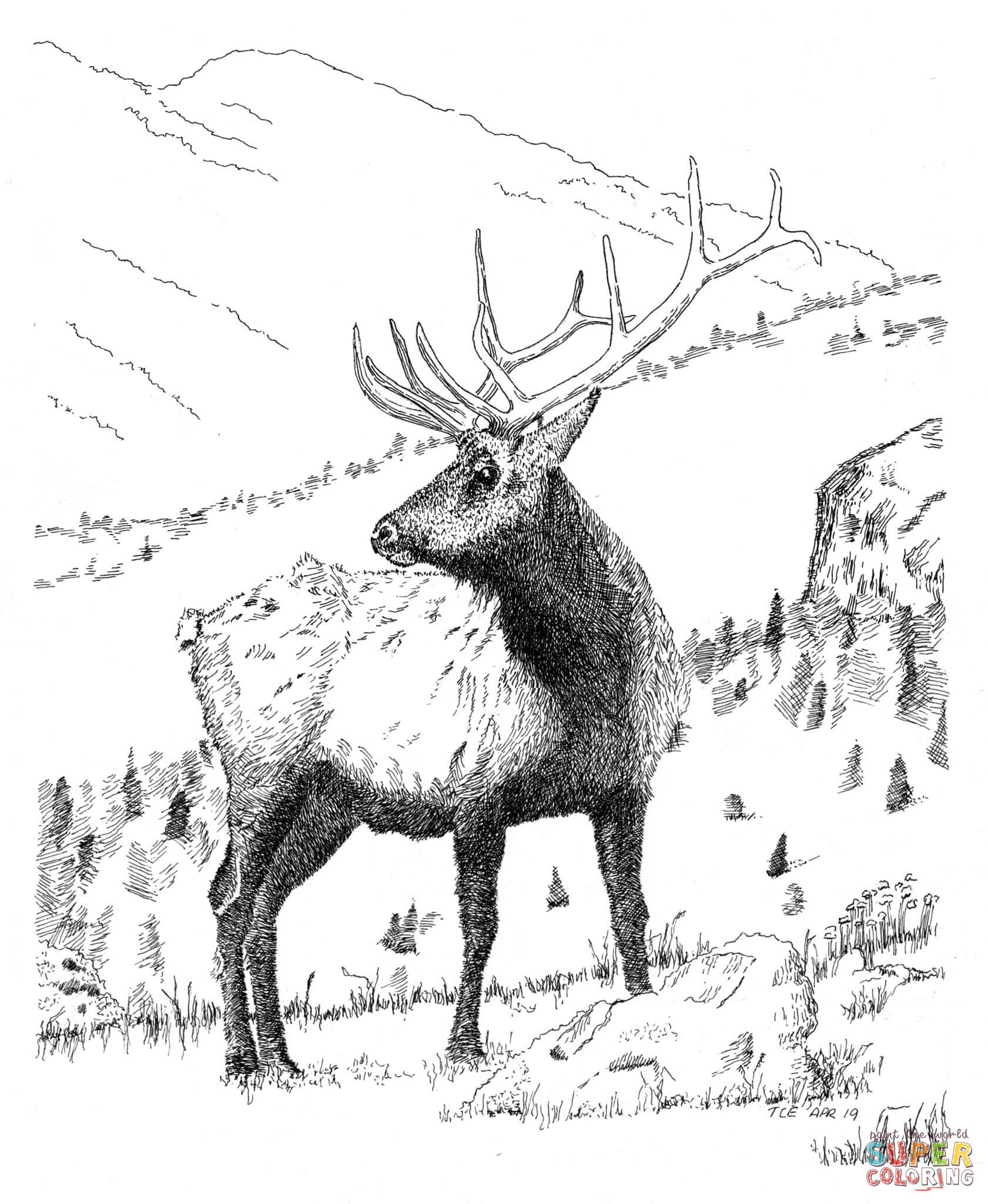 Bull elk coloring page free printable coloring pages