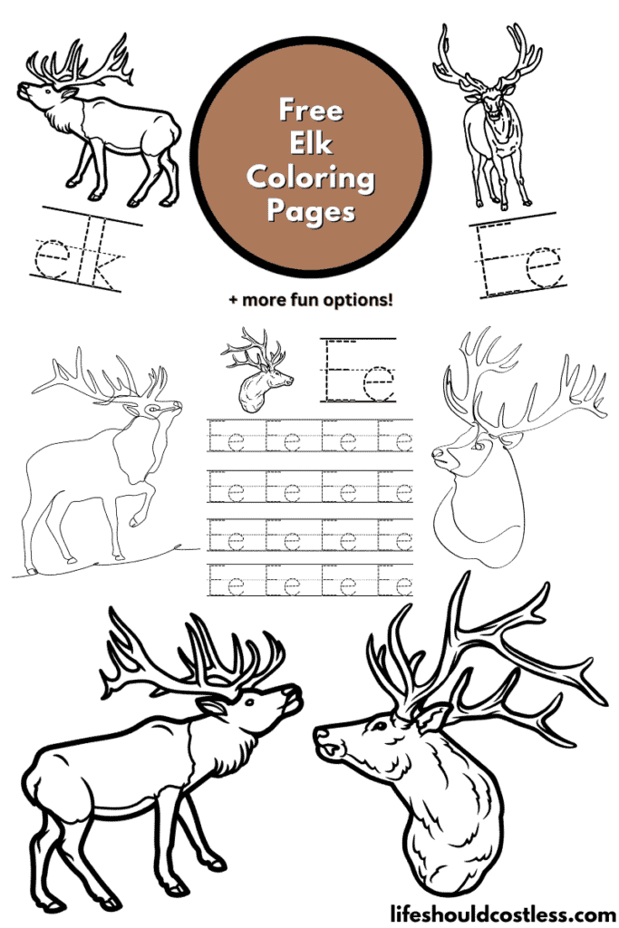 Elk coloring pages free printable pdf templates