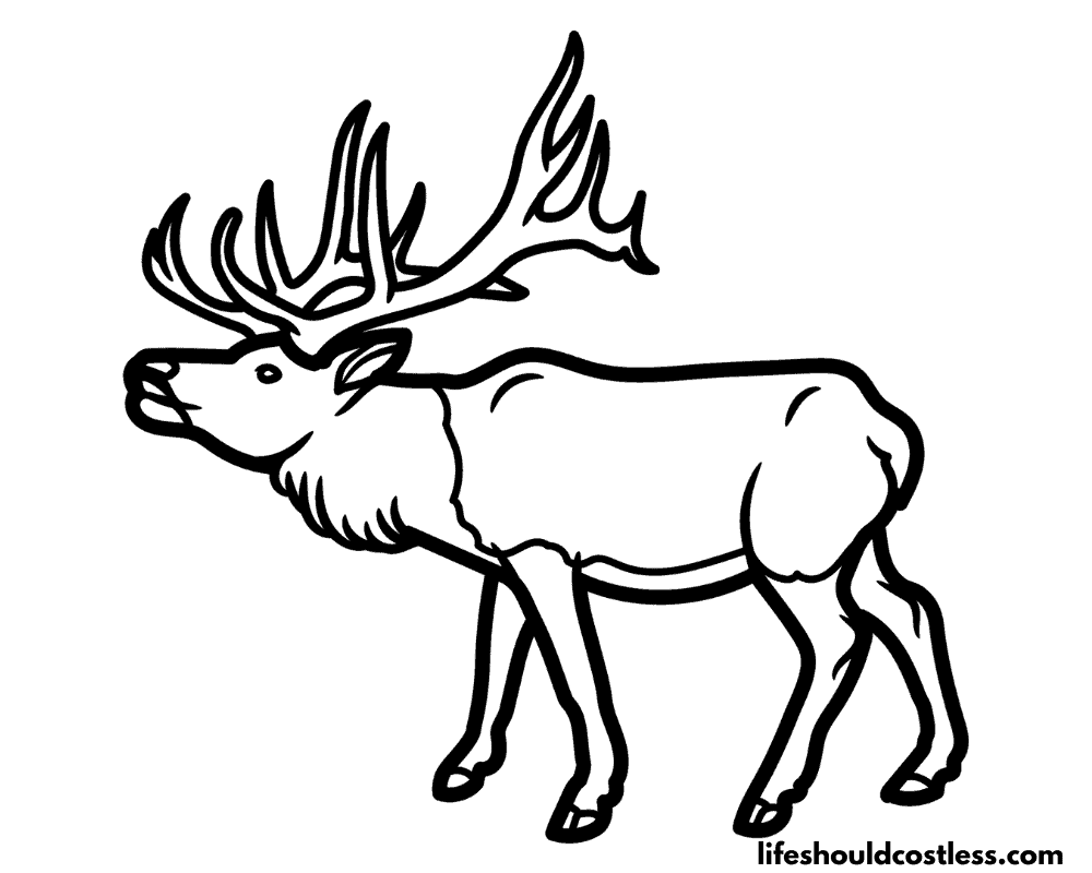 Elk coloring pages free printable pdf templates