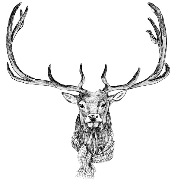 Free elk king coloring page