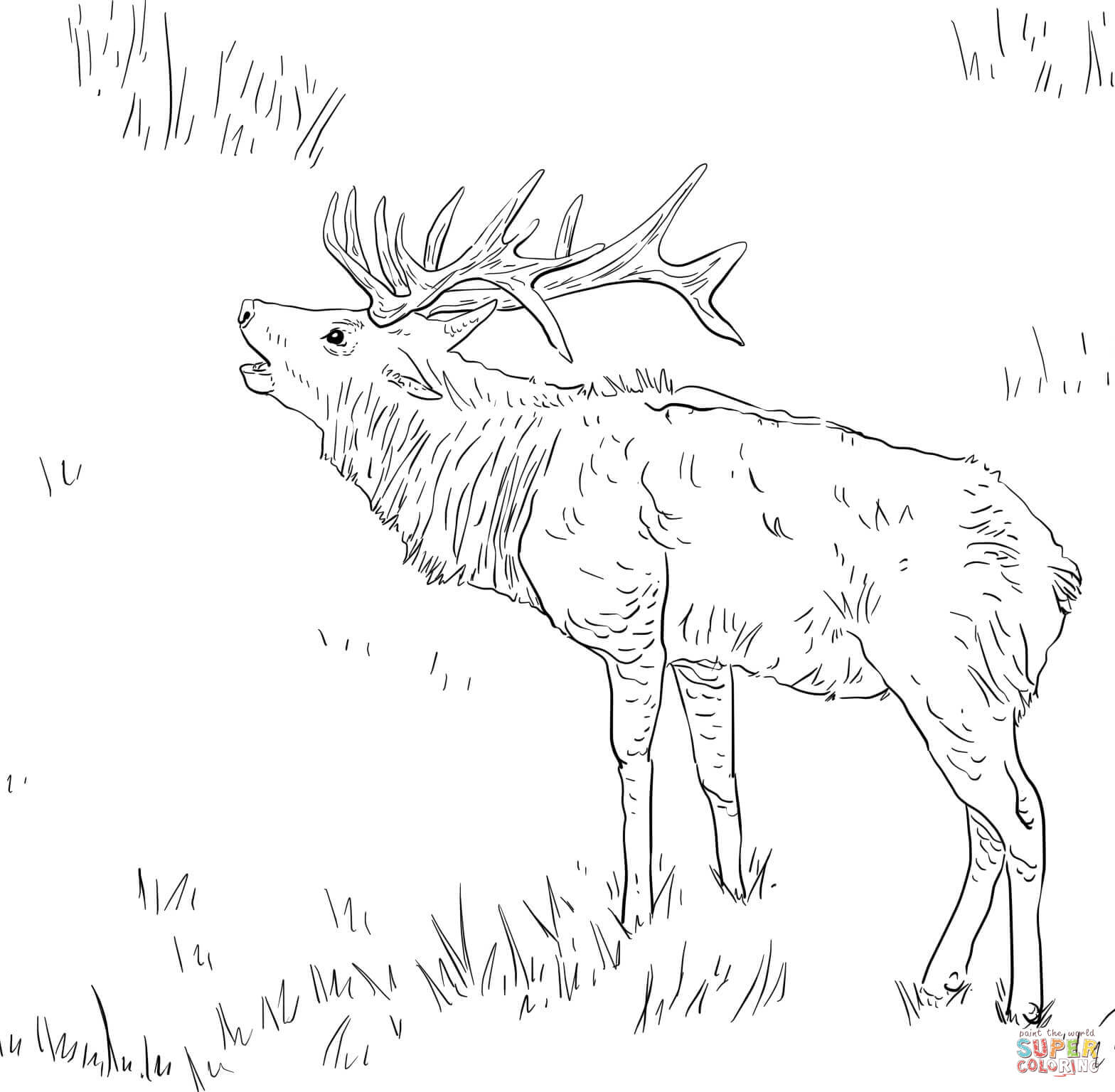 Tule elk coloring page free printable coloring pages