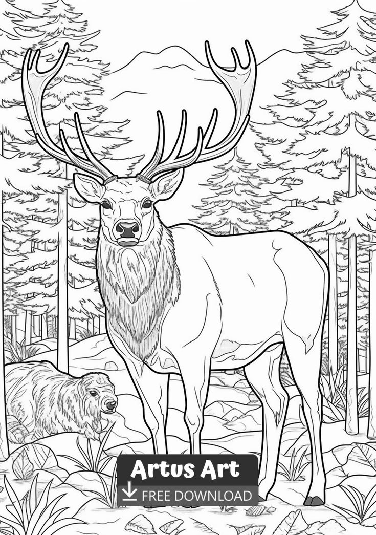 Elk coloring page coloring pages winter unicorn coloring pages coloring pages