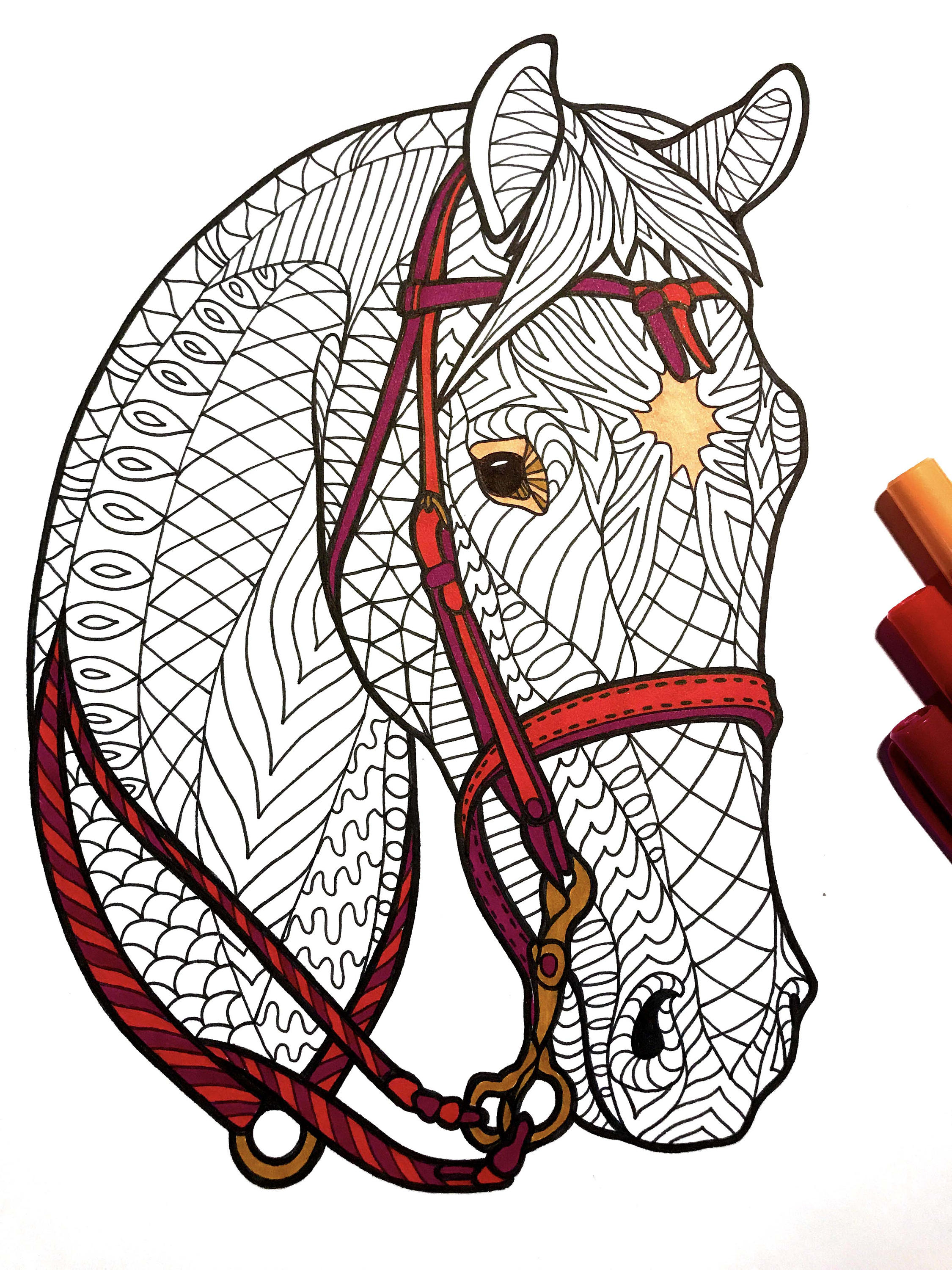 Bridled horse â pdf zentangle coloring page â scribble stitch