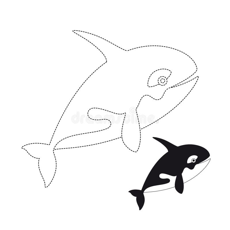 Vector illustration of killer whale for coloring book stock vector