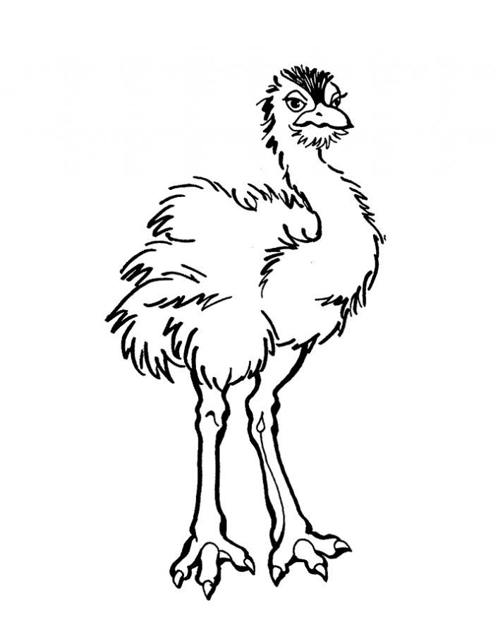 Emu colouring in sheets