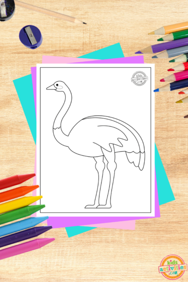 Coloring pictures â page of