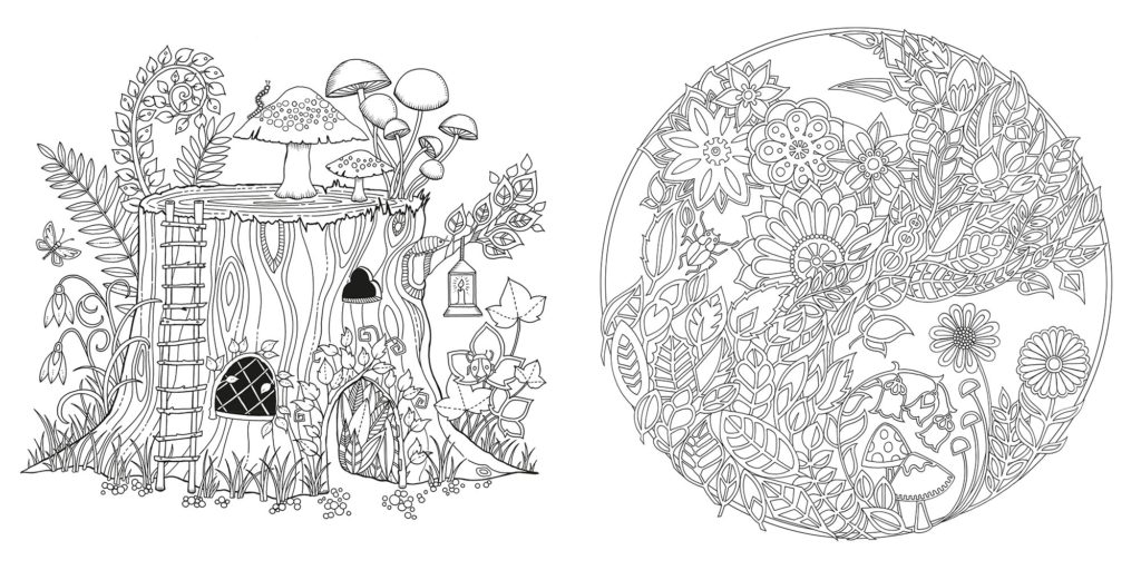 Enchanted forest an inky quest coloring book