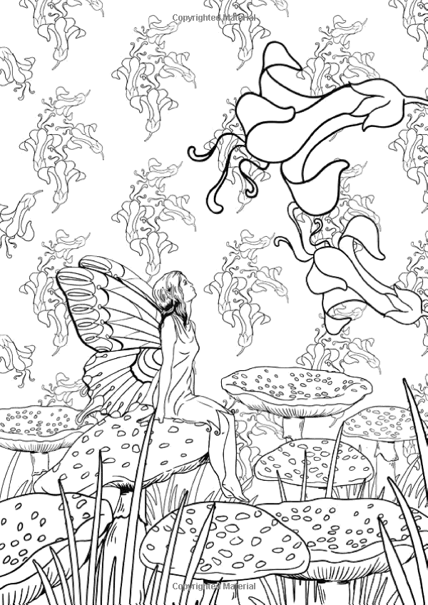 Art therapy the enchanted forest designs colouring in and relaxation marthe mulkey â gardens coloring book coloring pages fairy coloring pages