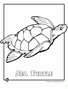 Endangered animals coloring pages animals from north america the rainforest the ocean woo jr kids activities childrens publishing