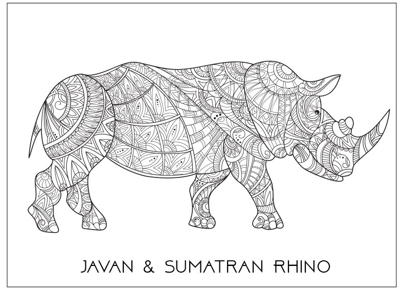 Endangered species coloring pages â senior living media