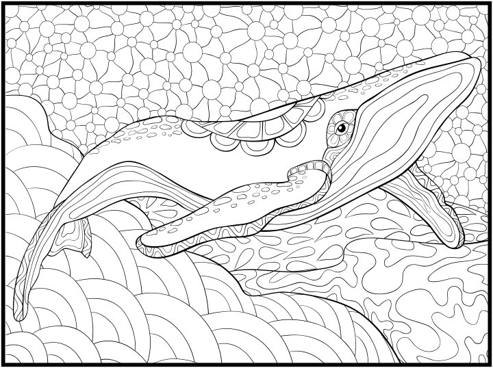 Endangered species coloring pages â senior living media