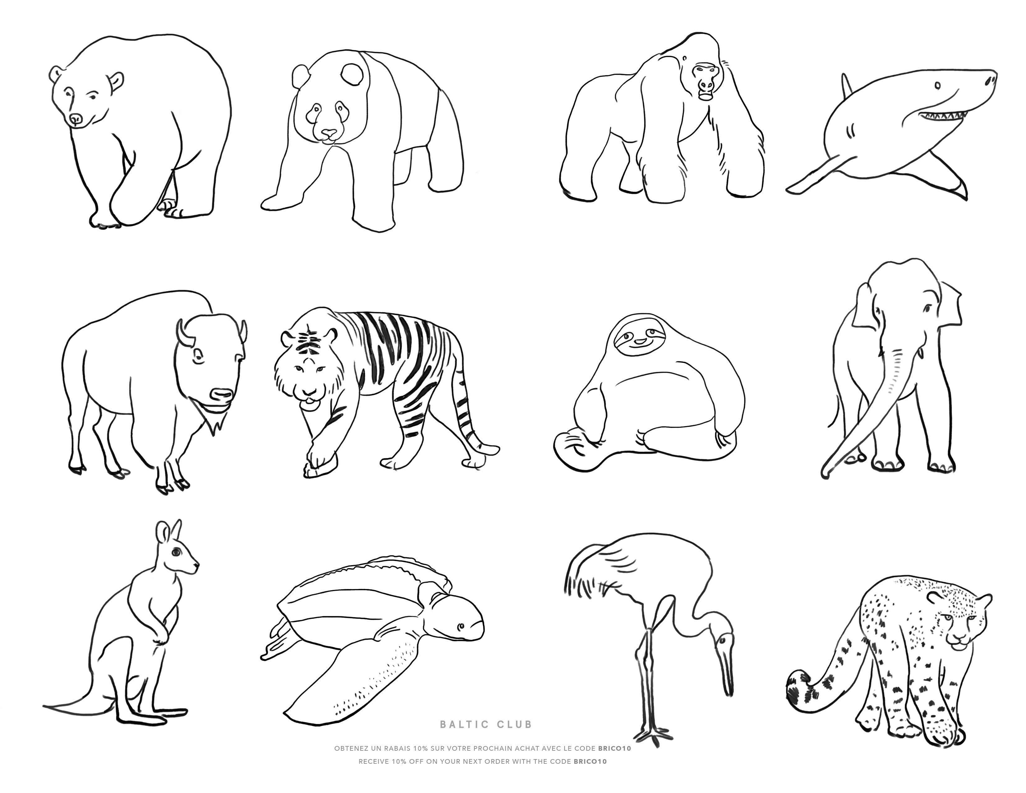 Endangered animals colouring sheet â baltic club