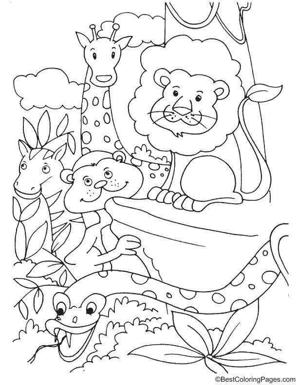 Endangered animals coloring page animal coloring pages zoo animal coloring pages endangered animals