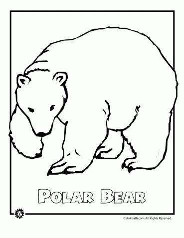 Endangered animals coloring pages animals from north america the rainforest the ocean woo jr kids activities childrens publishing bear coloring pages polar bear color polar bear coloring page