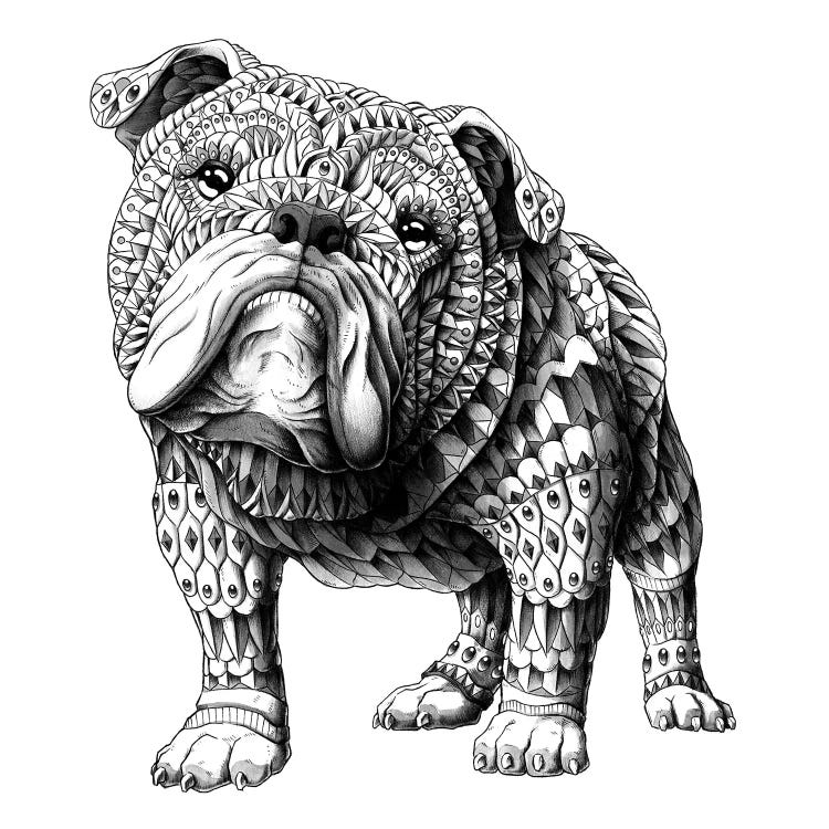 English bulldog canvas print by bioworkz