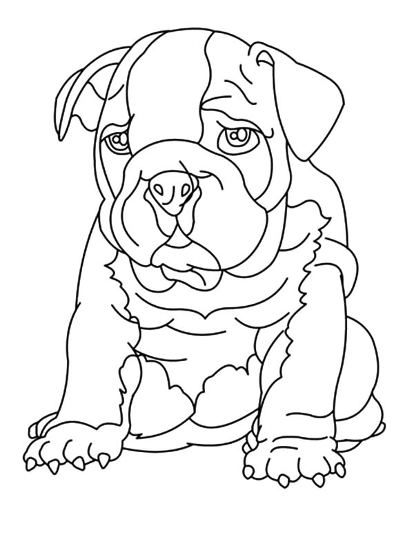 Drawing bulldog coloring pages best place to color dog coloring page animal coloring pages detailed coloring pages