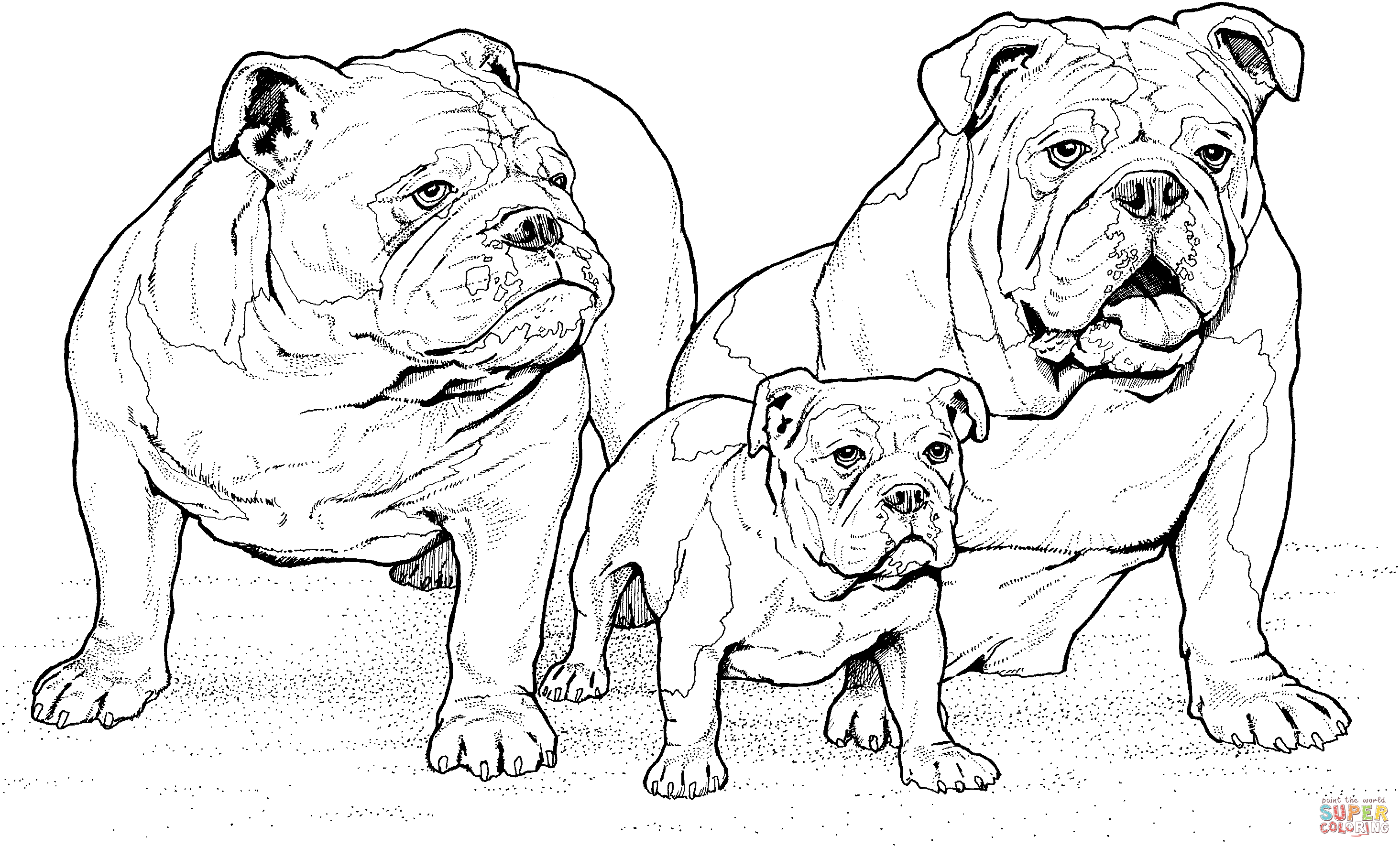 English bulldogs with puppy coloring page free printable coloring pages dog coloring page dog coloring book puppy coloring pages