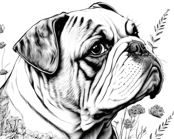 English bulldog coloring sheet ai generated coloring page of