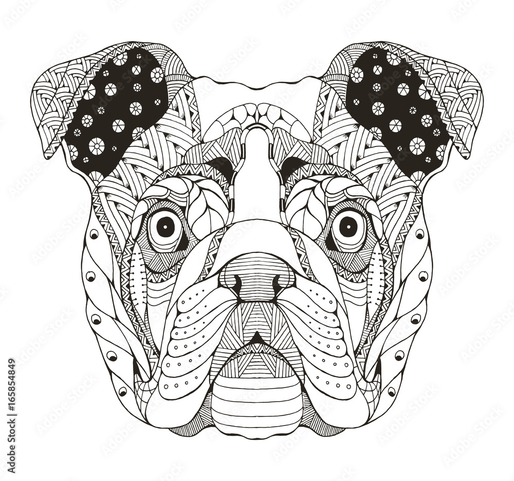 English bulldog head zentangle stylized vector illustration pattern anti stress coloring book for adults and kids vector