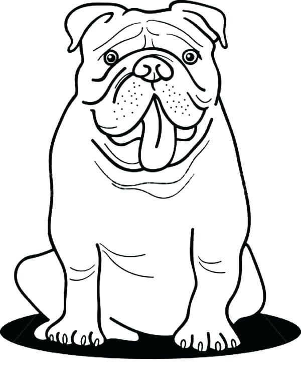 Bulldog coloring pages