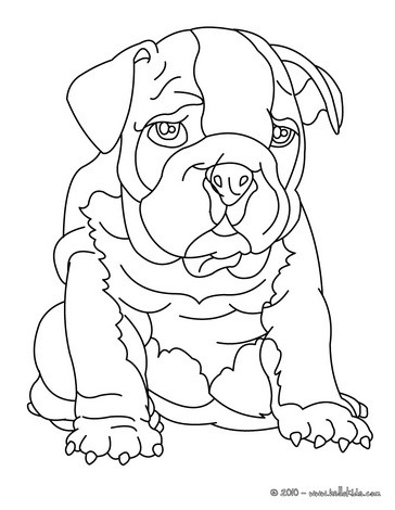 Bulldog coloring pages