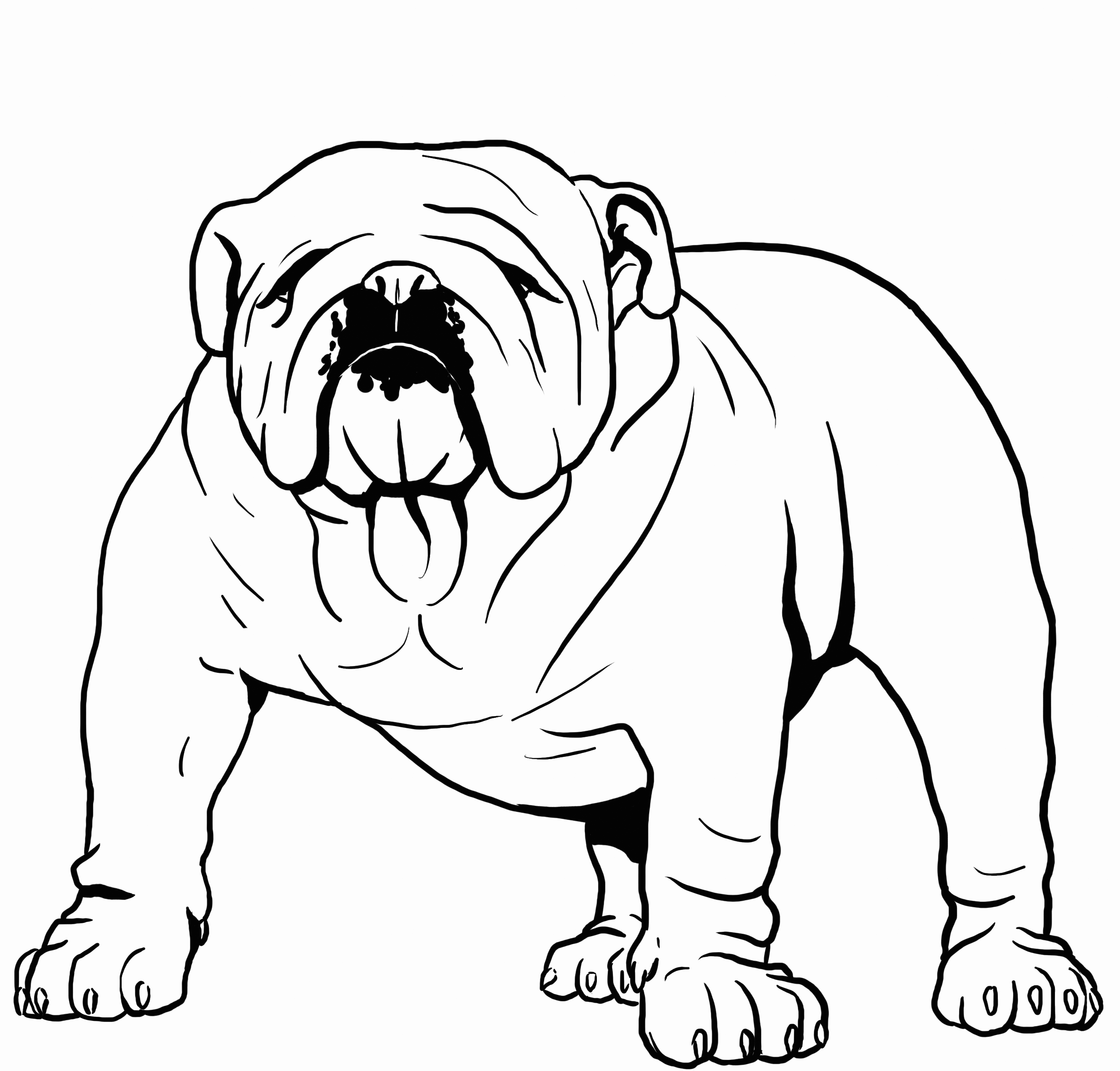 Bulldog coloring pages